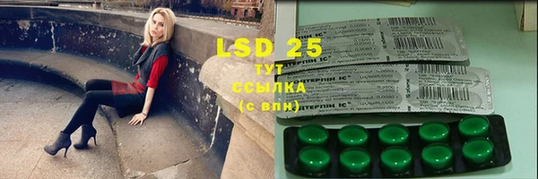 ПСИЛОЦИБИНОВЫЕ ГРИБЫ Богданович