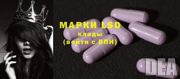 шишки Богородицк