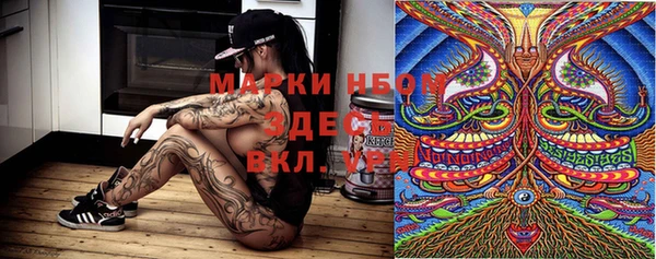 шишки Богородицк