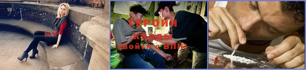 шишки Богородицк