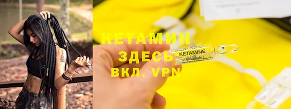 шишки Богородицк