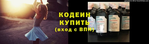 ПСИЛОЦИБИНОВЫЕ ГРИБЫ Богданович