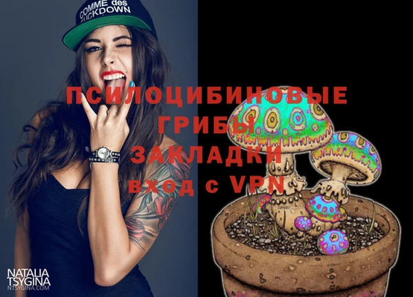 шишки Богородицк