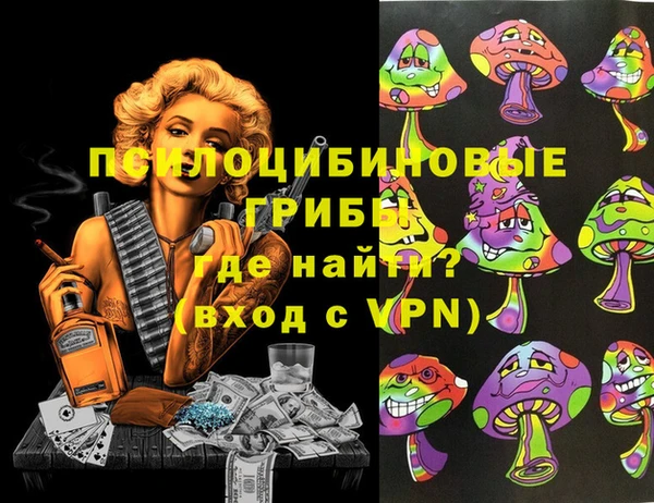 шишки Богородицк
