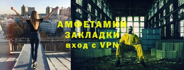 шишки Богородицк