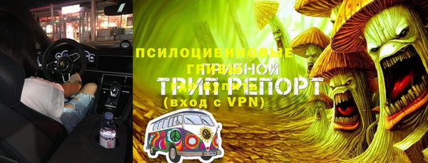 гидра Покровск