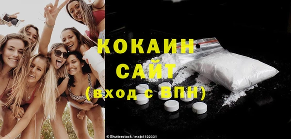 шишки Богородицк