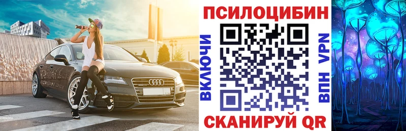 blacksprut рабочий сайт  Волжск  Галлюциногенные грибы Psilocybine cubensis  где купить наркоту 